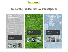 Tablet Screenshot of fabiton.nl